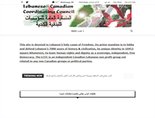 Tablet Screenshot of eliasbejjaninews.com